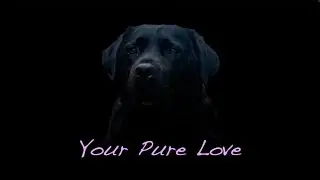 Your Pure Love (Original Song)