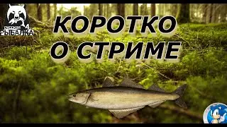 🌟ЧТО БЫЛО НА СТРИМЕ?🌟Русская Рыбалка 4(РР4)🌟