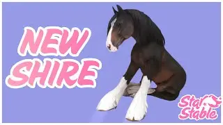 ❗ NEW SHIRE - [SSO SPOILER] ❗
