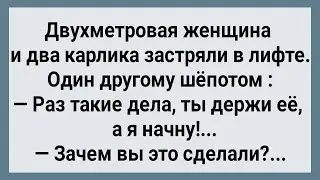 Двухметровая Женщина и Два Карлика Застряли в Лифте! Сборник Свежих Анекдотов! Юмор!