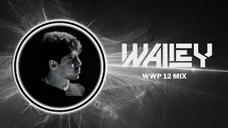 WWP 12 - Melodic techno mix (Goom Gum, Ruback, Pacs, Wailey)