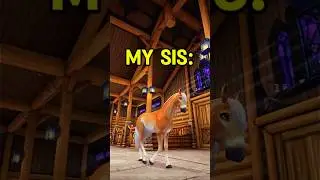 My Star Stable Horse Family In Sso Star Stable Edit!😂 / Sso Short / Sso Edit #sso #starstable