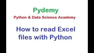 Python - How to Read Excel File with Python Openpyxl | Learn Python, R & Data Science | Pydemy