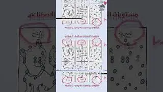 البداية في عالم الذكاء الصناعي 🤖✨ | الدكتور محمد شلتوت.