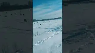 Рыбаков миллион