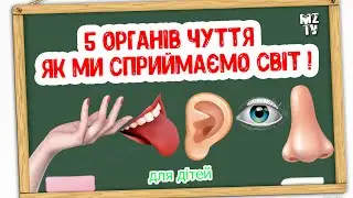 П'ять Органів Чуття  - Як Ми Сприймаємо Світ. Цікаве відео для дітей