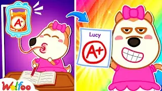 🔴 LIVE: School Exam? Easy! Wolfoo Funny Stories for Kids About Magic Tricks