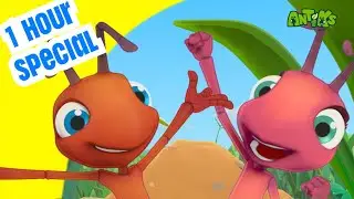 BEST OF ANTIKS SEASON 01 - 1 HOUR SPECIAL | Funny Cartoons For CHILDREN