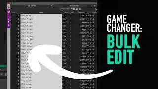 What's New: Bulk Edit - Assistant Editors Dream - Change metadata fast- Avid Media Composer Tutorial