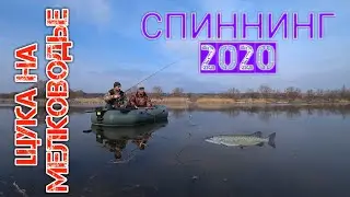 ЛОВЛЯ ЩУКИ С ЛОДКИ НА МЕЛКОВОДЬЕ | СПИННИНГ 2020.