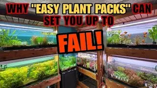 The Truth About "Easy Plant Packs" & "Beginner Plant Bundles" & Why Aquarium Plants Can Be So Tricky