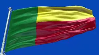 🚩Benin Flag Waving | GREEN SCREEN & CHROMA MATTE🚩