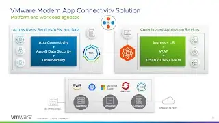 VMware Modern App Connectivity Demo  - Tanzu Service Mesh & AVI Networks Integration