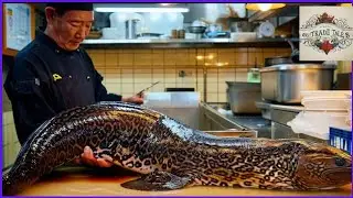 10 of The Most Faked Seafoods in The World