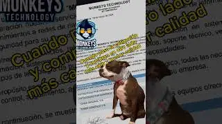 Recuerden que si van a comprar en otro lado los podemos asesorar #Monkeystechnology