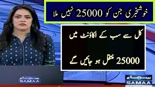 25000 ehsaas program 2022 || Ehsaas program 25 000 online registration || Ehsaas program 25000