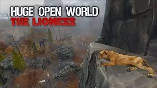 The Lioness Animal  Simulator  By Yusibo Simulator Games