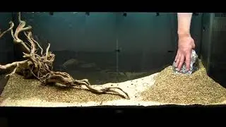 Aquarium Setup - Aquascape - Step by Step - Live Planted Fish Tank