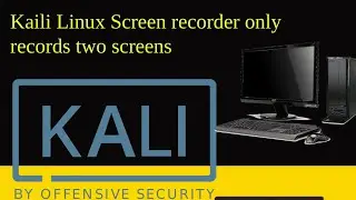 Kaili Linux Screen recorder only records two screens