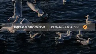 Ярославль Заволжский | Ярославия... Больше чем!