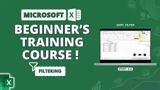 Microsoft Excel | Filter