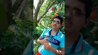 WhatsApp reaction emoji new update | WhatsApp new update 2022| 