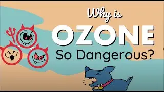 Why Is Ozone Dangerous?