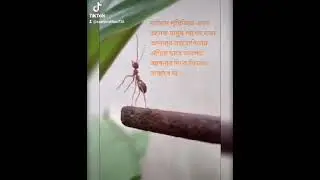 #উপকারের প্রতিদান