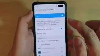 Galaxy S10 / S10+: How to Enable / Disable Notification Reminders