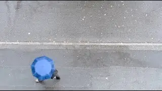 [10 Hours] Umbrellas on a Rainy Street - Video & Soundscape [1080HD] SlowTV