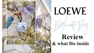 LOEWE Elephant bag Review & What Fits Inside