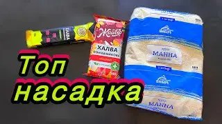 Класна насадка на карася з манки \ ЯК ПРИГОТУВАТИ МАНКУ ДЛЯ РИБАЛКИ?