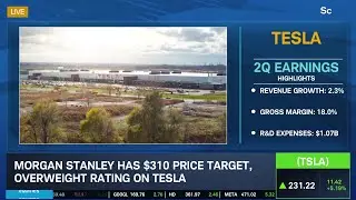 Are Near-Term Tesla (TSLA) Expectations Too High?