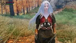 Skyrim SE - Animations - Inquisitor and Hogwarts