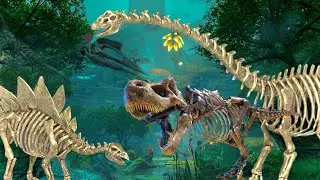 Every Bone Creature in Ark Survival Evolved!