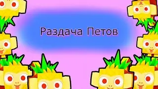 Открываем яички в Pet Simulator 99 #shorts