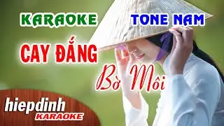 Karaoke Cay Đắng Bờ Môi Tone Nam | Beat Chuẩn Hải Ngoại | Hiệp Định Studio