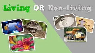 LIVING OR NON-LIVING?  (a science song for kids)