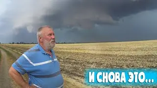 Апокалипсис на пасеке. Когда закончатся дожди