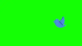 [4K] Twitter Bird Animation - Green Screen