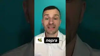 перга, мед, польза перги, пыльца, перга пчелиная, перга как принимать