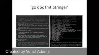 #golang #striversity 02.02 - Writing, Compiling, and Running Go Code