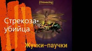 Chlovechig — Стрекоза-убийца