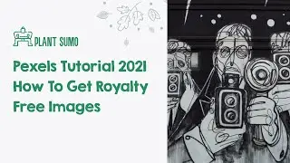 Pexels Tutorial 2021 | How To Get Royalty Free Images