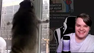 cамое смешное видео по мнению каши