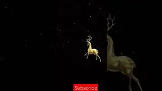 MAGICAL GOLDEN DEER ON BLACK SCREEN 