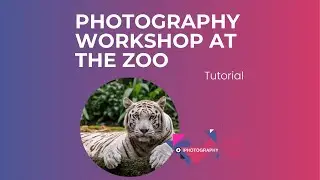 Wildlife Zoo Photography Workshop