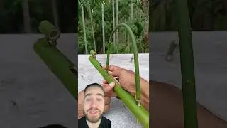 This Guy Built A Sniper Out Of Bamboo (@Ih.diy4/TT)