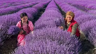 A Relaxing Day in a village Deep in the Mountains! Making Unforgettable Biscuit Cake with Lavender