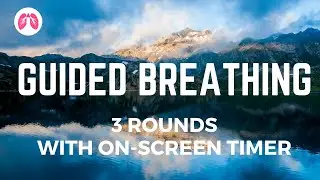 Guided Breathing (3 rounds with onscreen timer)